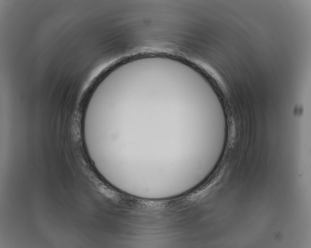 X0000091450878200708161045