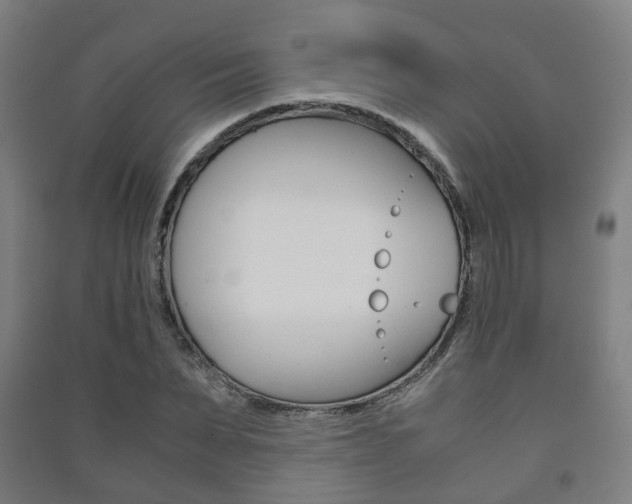 X0000091450879200708161045