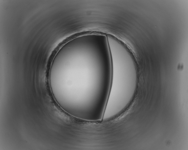 X0000091450880200708161045