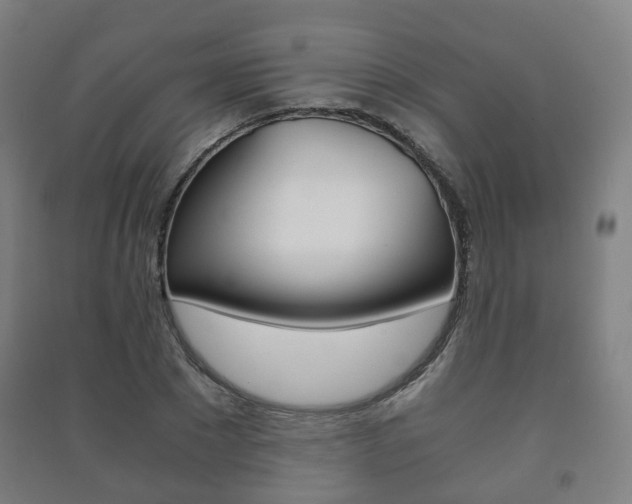 X0000091450881200708161045
