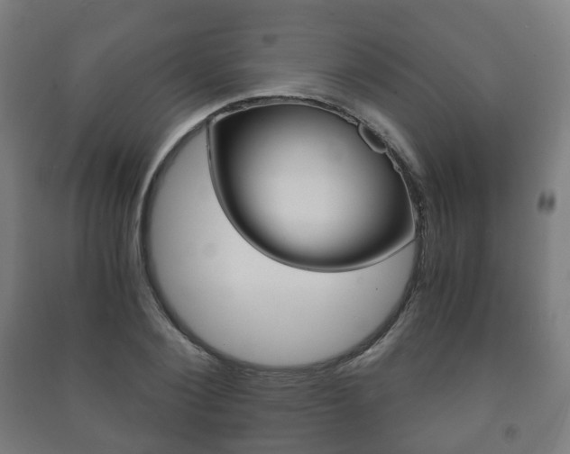 X0000091450884200708161045
