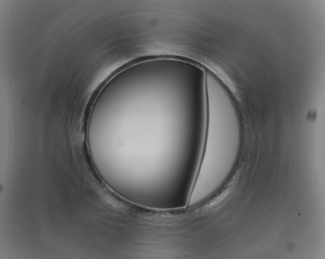 X0000091450885200708161045