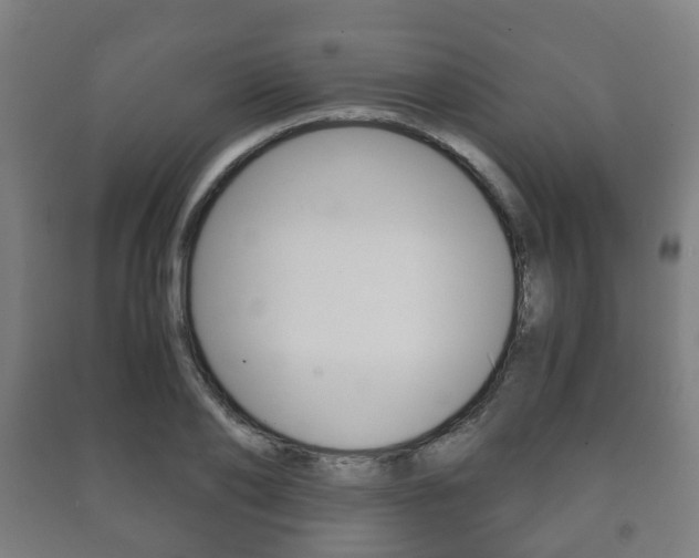 X0000091450886200708161045