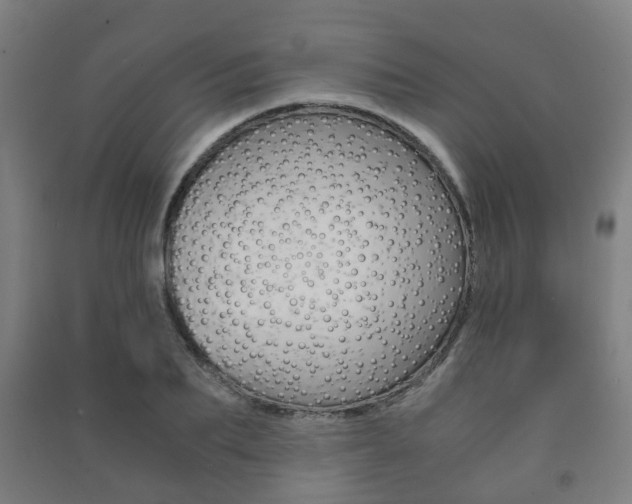 X0000091450887200708161045