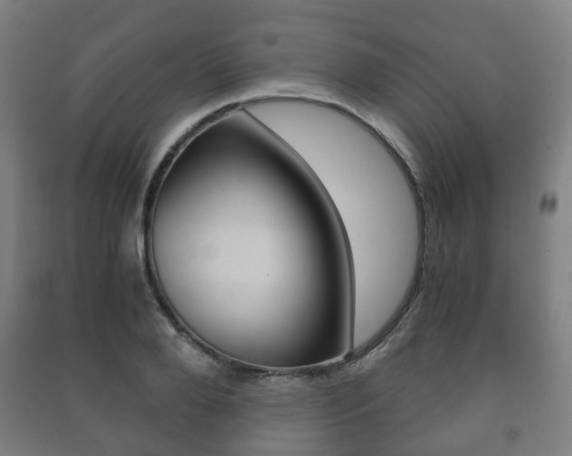 X0000091450888200708161045