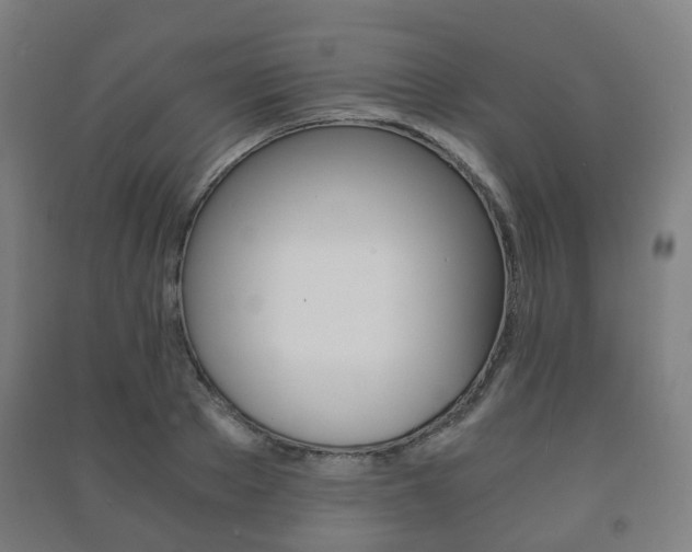 X0000091450889200708161045
