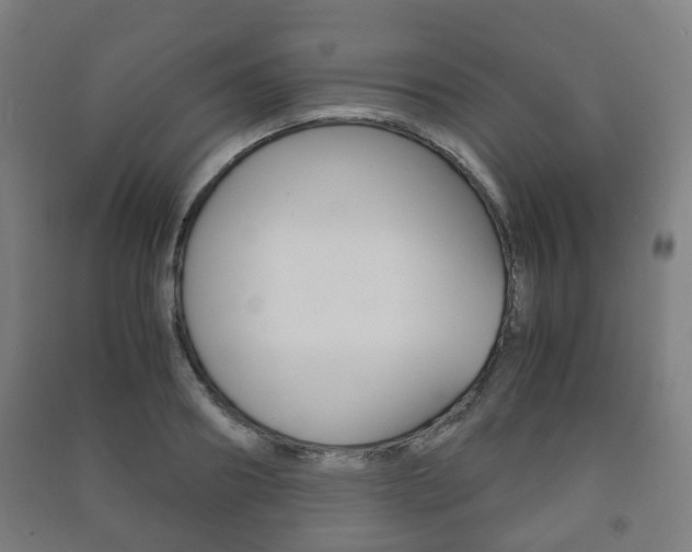 X0000091450890200708161045