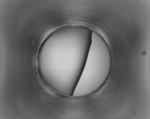 X0000091450891200708161045
