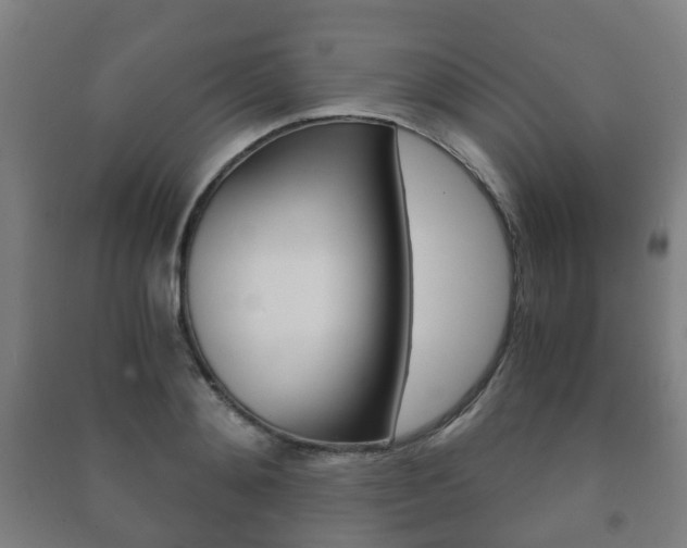 X0000091450892200708161045