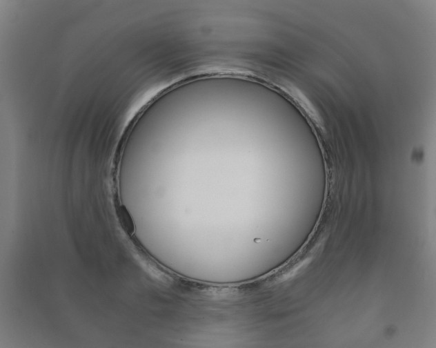 X0000091450893200708161045