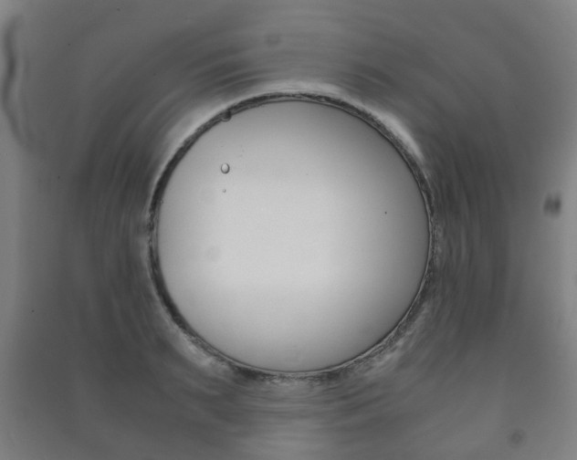 X0000091450895200708161045
