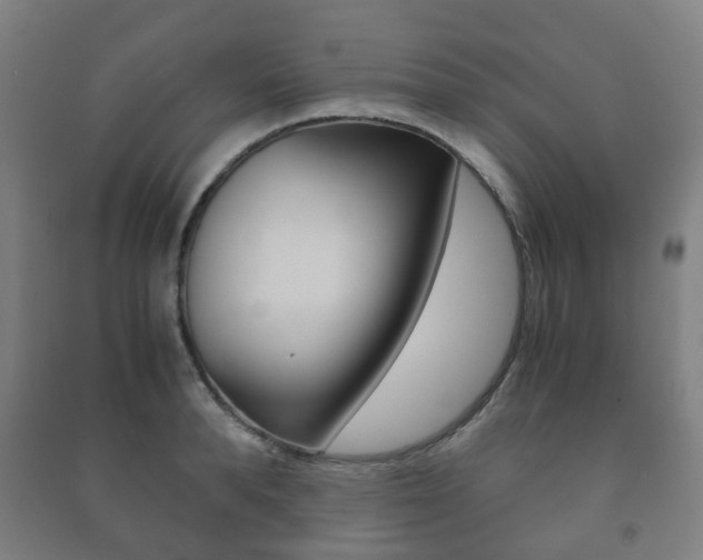 X0000091450896200708161045