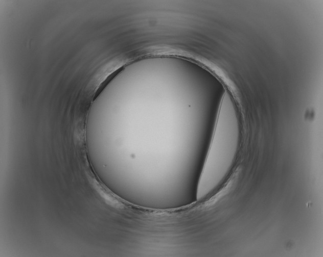 X0000091450897200708161045
