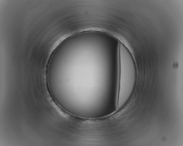 X0000091450898200708161045
