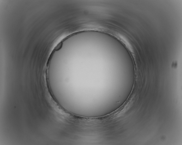 X0000091450899200708161045