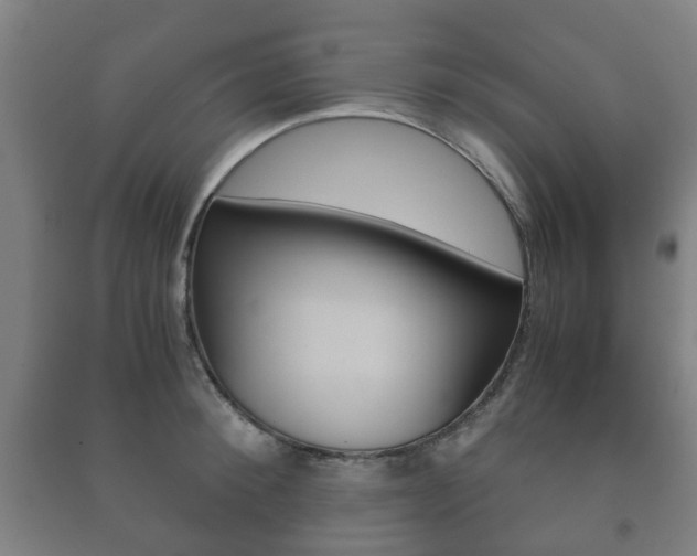 X0000091450900200708161045