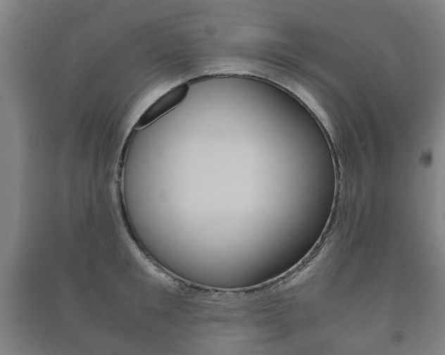 X0000091450901200708161044