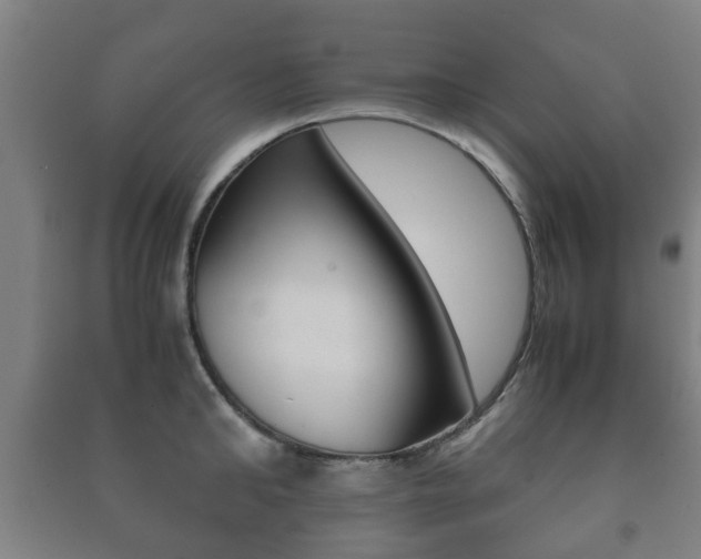 X0000091450902200708161044