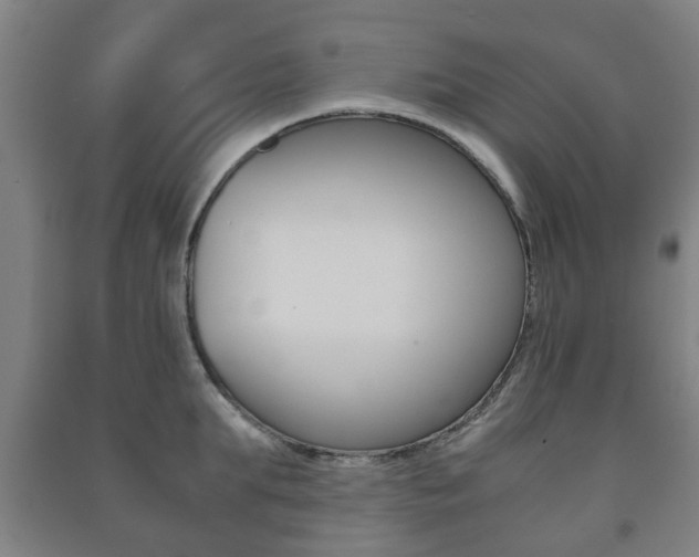 X0000091450903200708161044