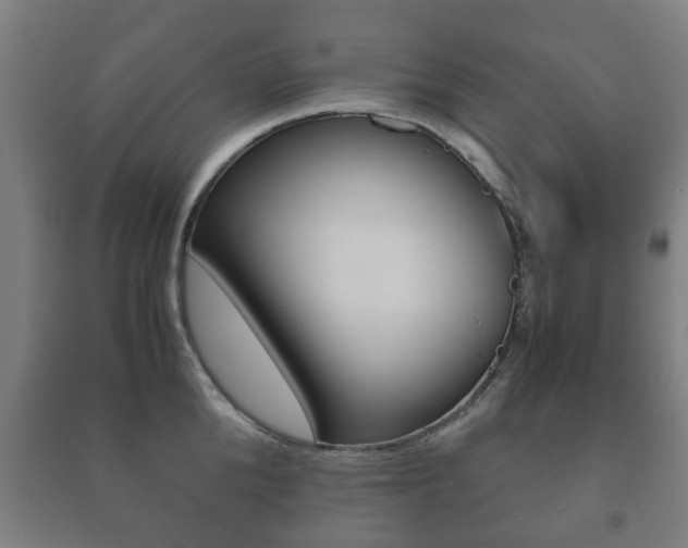 X0000091450904200708161044