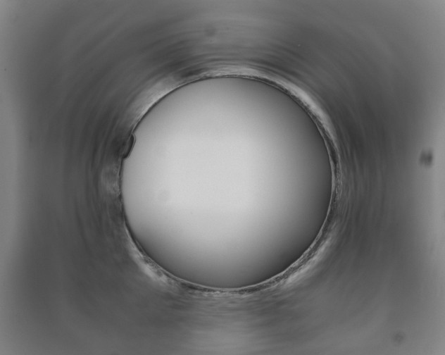 X0000091450905200708161044