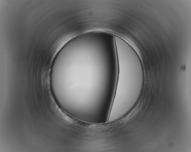 X0000091450906200708161044