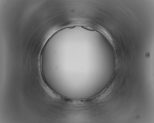 X0000091450907200708161044
