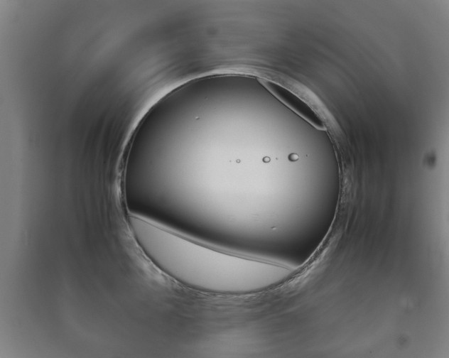 X0000091450908200708161044