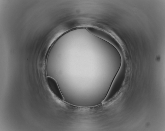 X0000091450909200708161044