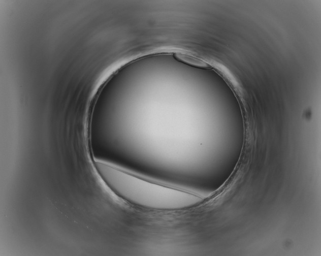 X0000091450910200708161044