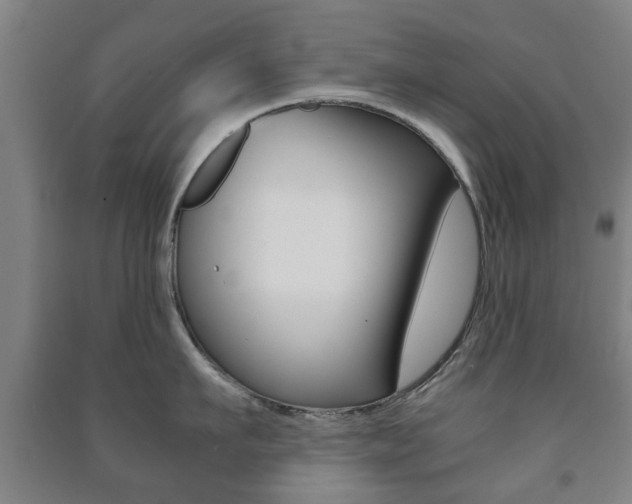 X0000091450911200708161044