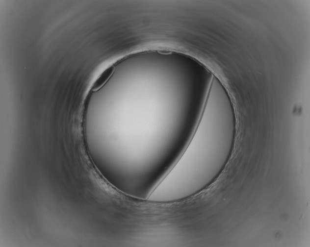 X0000091450912200708161044
