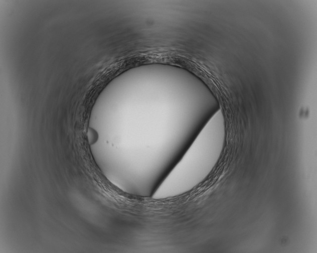 X0000091450913200708161044
