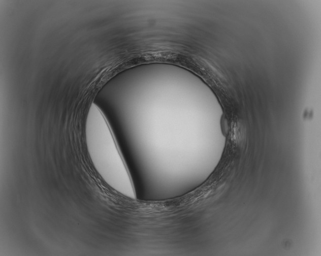 X0000091450915200708161044