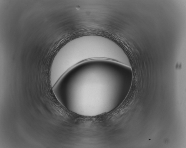 X0000091450916200708161044