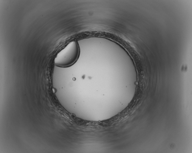 X0000091450918200708161044