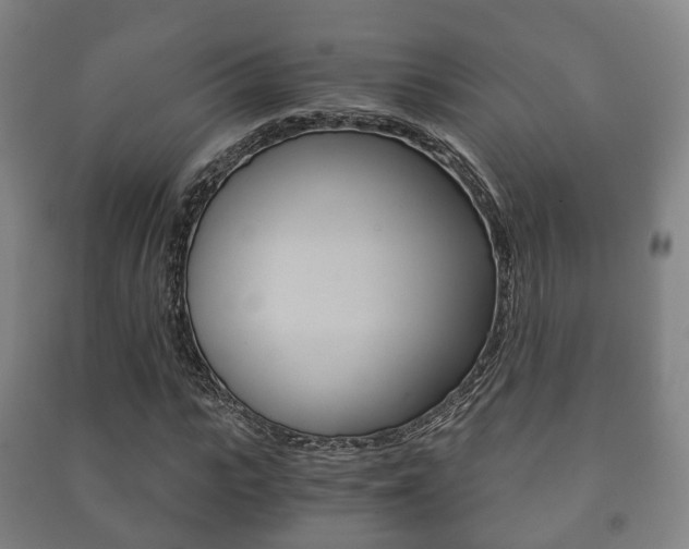 X0000091450919200708161044