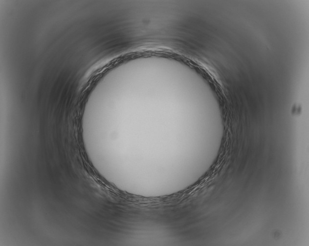 X0000091450920200708161044