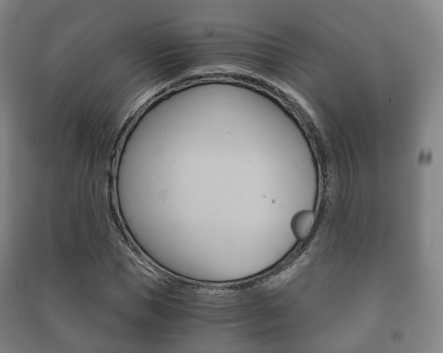 X0000091450921200708161044