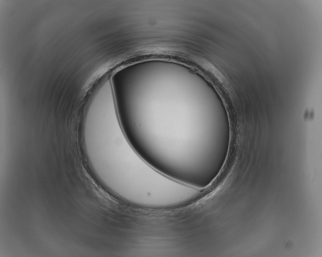 X0000091450922200708161044