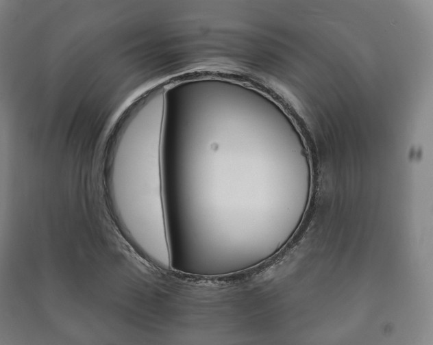 X0000091450923200708161044