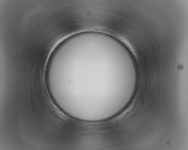 X0000091450924200708161044