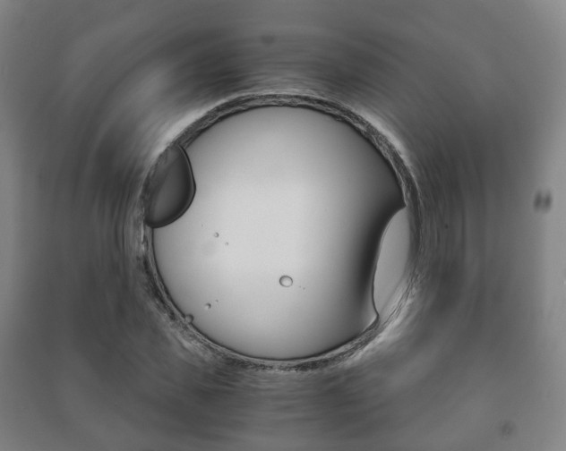 X0000091450925200708161044