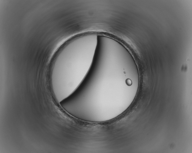 X0000091450926200708161044