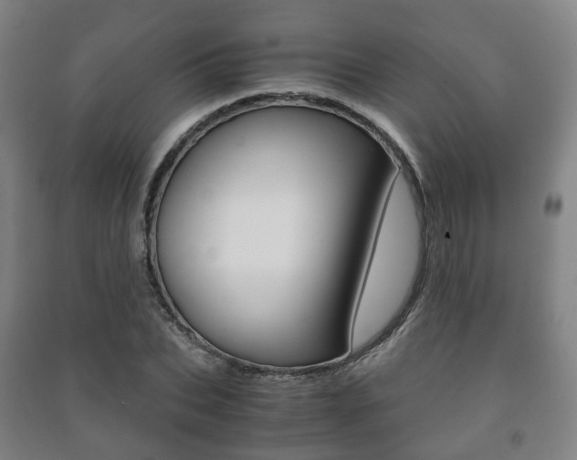 X0000091450927200708161044
