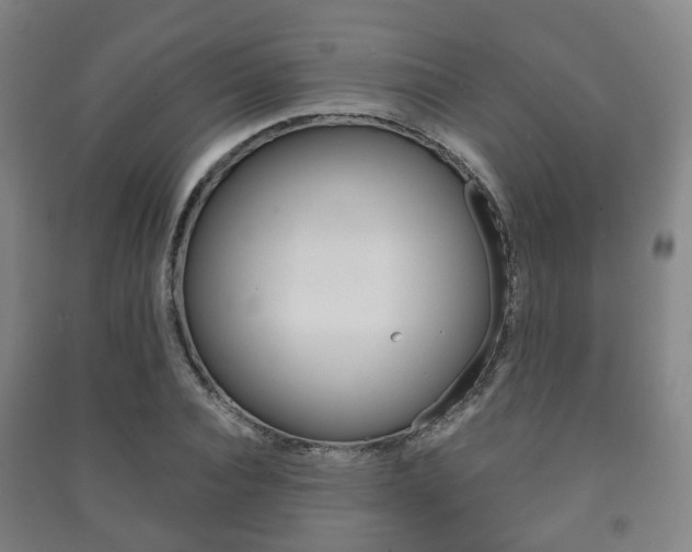 X0000091450928200708161044