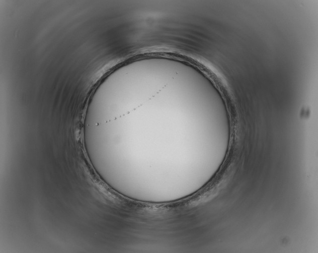 X0000091450929200708161044