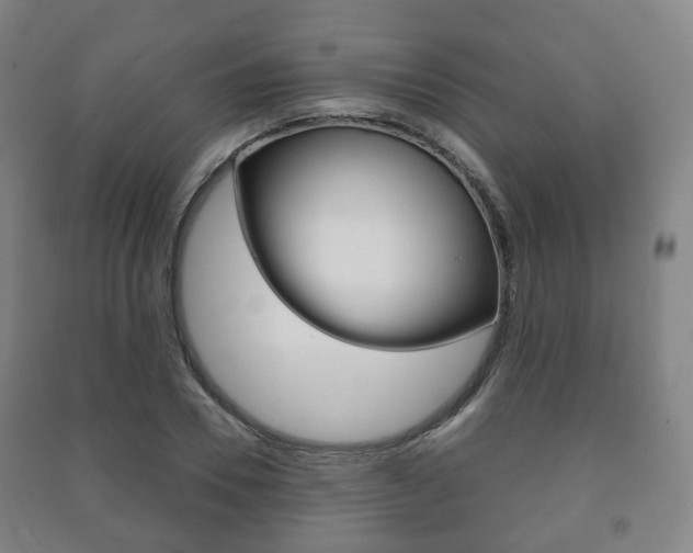 X0000091450930200708161044