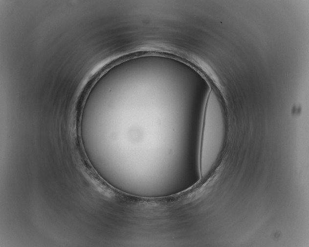 X0000091450931200708161044