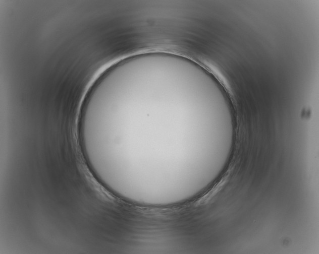 X0000091450932200708161044